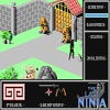 The Last Ninja screenshot