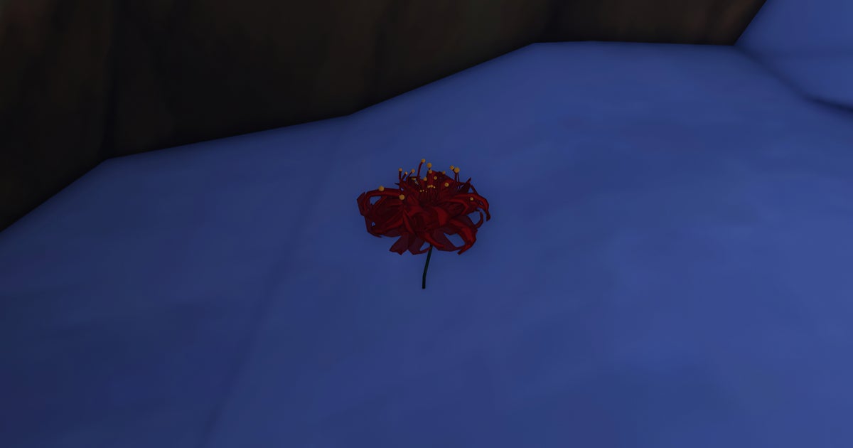 How to complete the Blood Flower quest in Sailor Piece