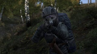 No More Room In Hell's Kitchen: DayZ Team Doubles