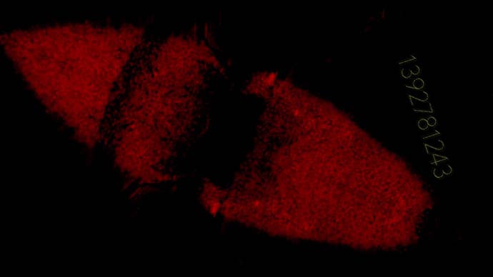 An abstract promotional image for Sam Barlow’s mysterious Project C showing a grainy, eye-like red shape and the number “1392781243”.