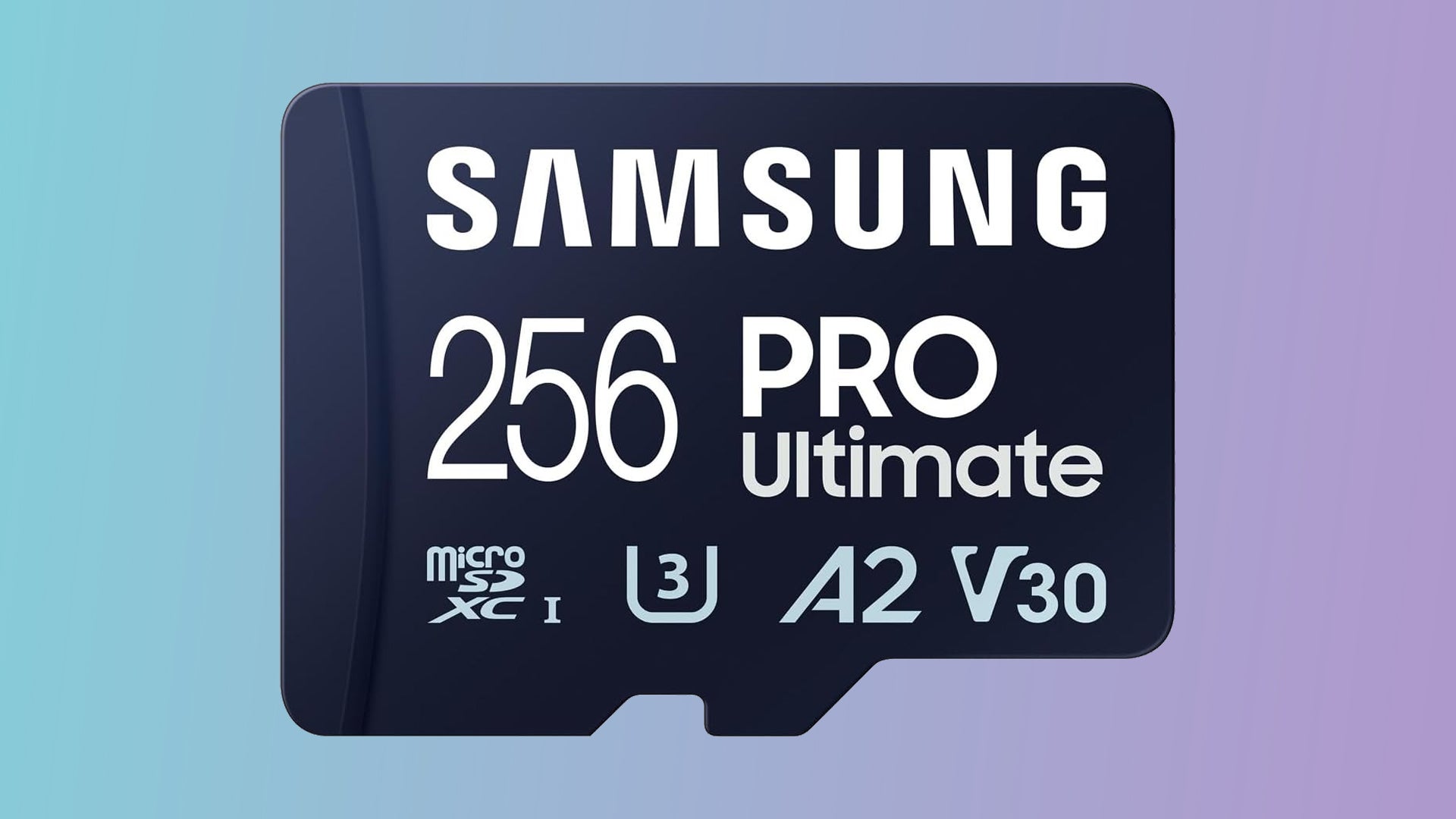 This capable 256GB Samsung Pro Ultimate Micro SD card is £24 from Amazon