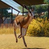 Capturas de pantalla de Planet Zoo