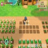Story Of Seasons: Friends Of Mineral Town screenshot