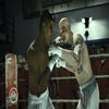 Capturas de pantalla de Fight Night Champion