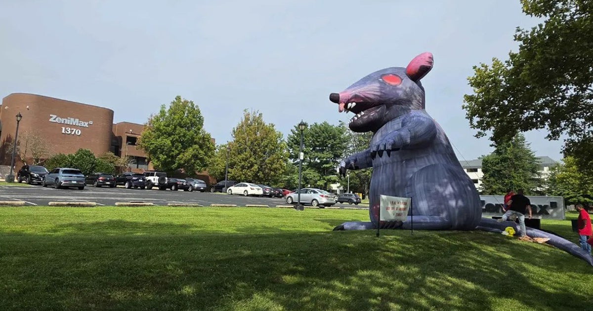 As Xbox head Asha Sharma reportedly visits Bethesda HQ, workers put up red flags representing laid off staff and a giant inflatable rat outside