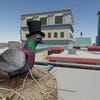Screenshots von Pigeon Simulator