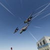 Screenshots von Pigeon Simulator