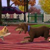 Screenshots von Die Sims 3: Einfach tierisch