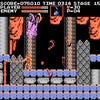 Screenshot de Classic NES Series - Castlevania