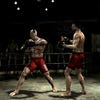 Capturas de pantalla de Supremacy MMA