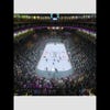 Screenshots von NHL 2K6
