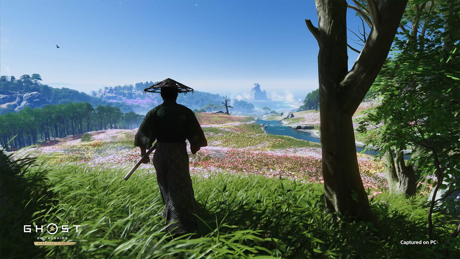 Ghost of Tsushima Director's Cut screenshot