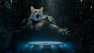 Master Chief is a small, red DJ cat according to a new ad directed by Taika Waititi