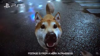 You can pet the dog in Ghostwire: Tokyo