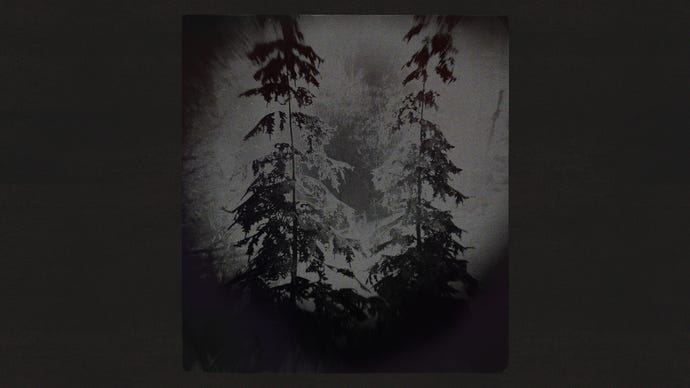 A murky shot of some trees in Alan Wake 2