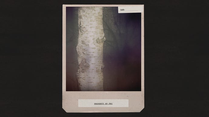 A picture of some trees in Alan Wake 2 taken using the game's in-game Polaroid-style photo mode filter