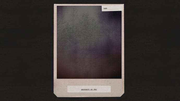 A picture of some trees in Alan Wake 2 taken using the game's in-game Polaroid-style photo mode filter