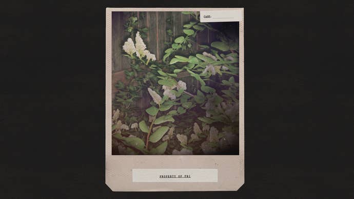 A picture of some trees in Alan Wake 2 taken using the game’s in-game Polaroid-style photo mode filter