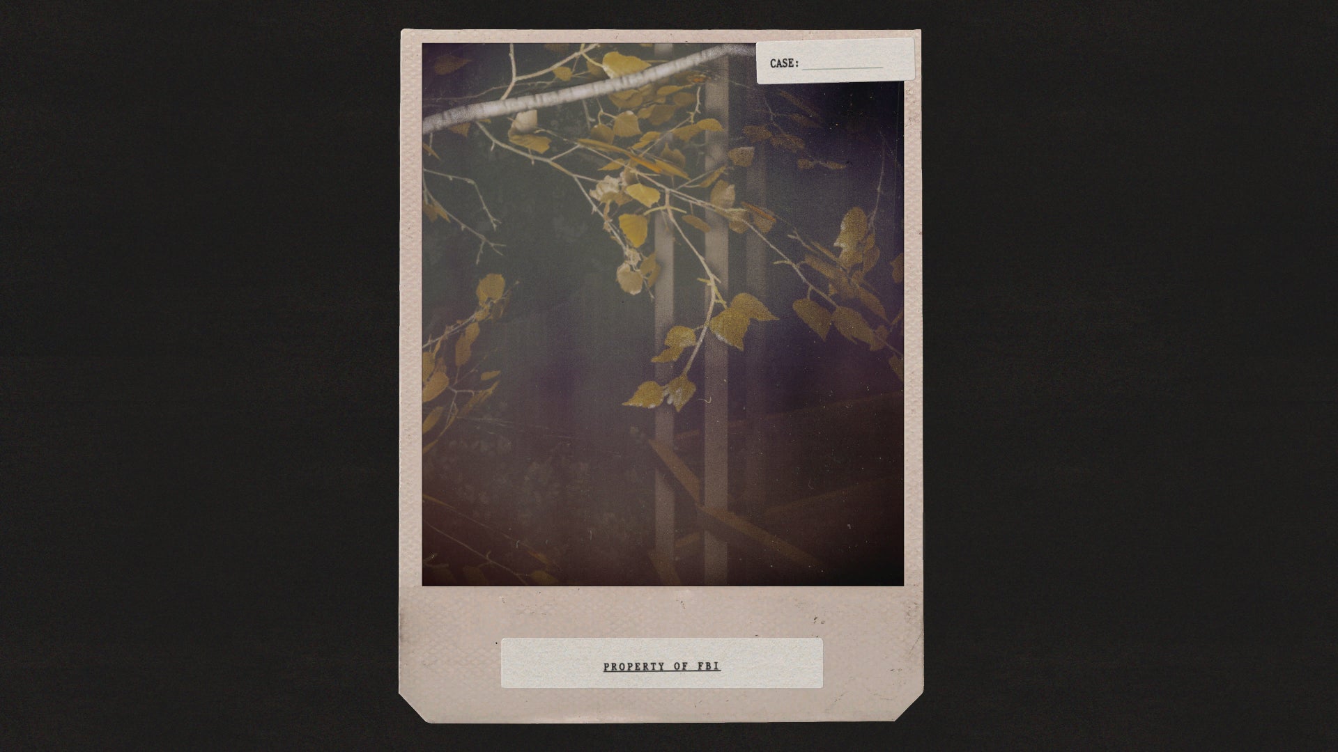 A picture of some trees in Alan Wake 2 taken using the game's in-game Polaroid-style photo mode filter - 7