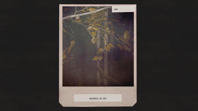 A picture of some trees in Alan Wake 2 taken using the game’s in-game Polaroid-style photo mode filter