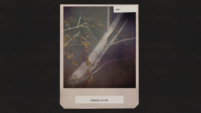 A picture of some trees in Alan Wake 2 taken using the game’s in-game Polaroid-style photo mode filter