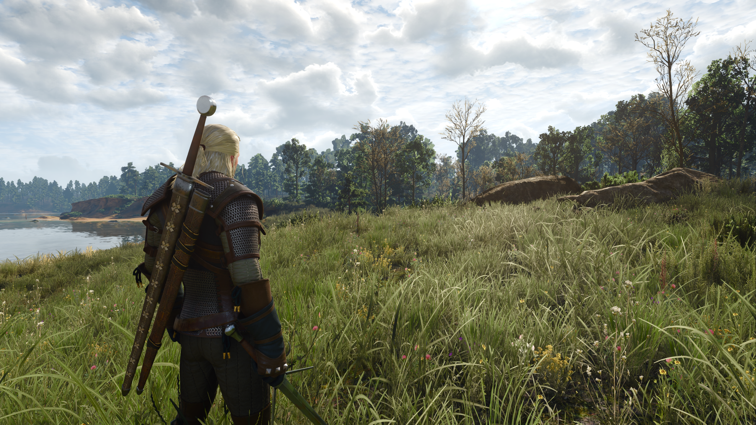 The Witcher 3: Wild Hunt screenshot