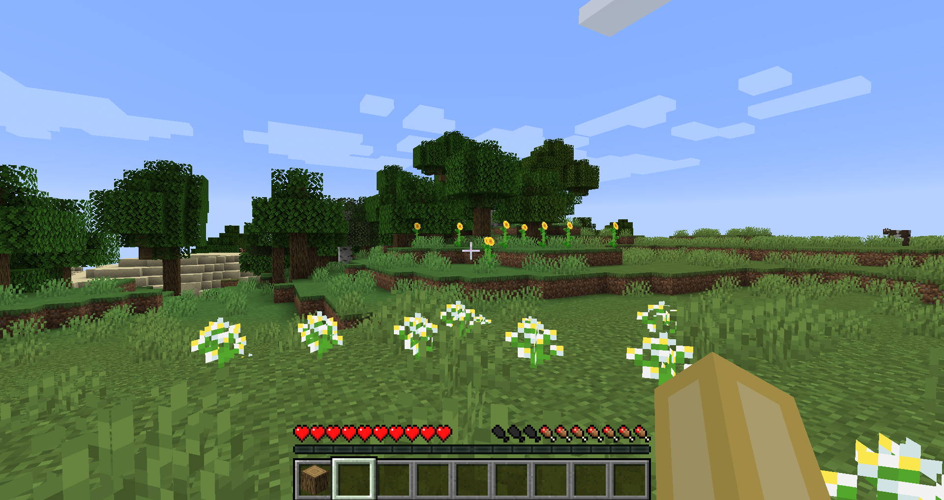 Minecraft screenshot