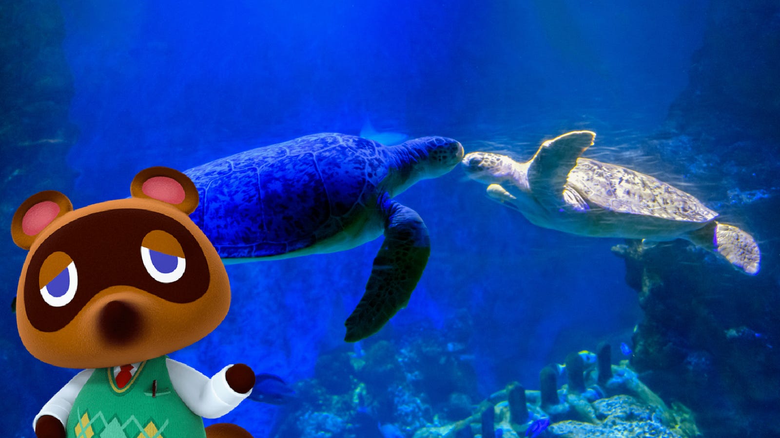 Animal Crossing collaboration coming to Sea Life aquariums across the UK Animal Crossing collaboration coming to Sea Life aquariums across the UK