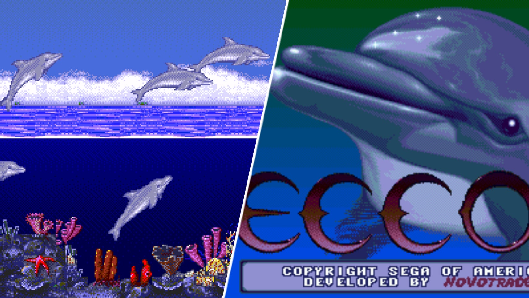 Ecco the Dolphin looking kinda smug. - 1
