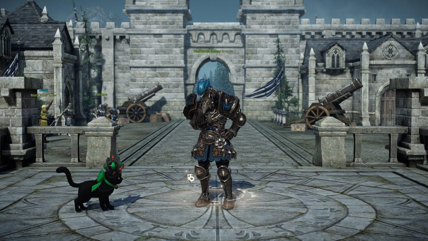 A paladin drops his head in disappointment, as his cat watches on in Lost Ark.