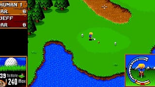Have You Played... Sensible Golf?