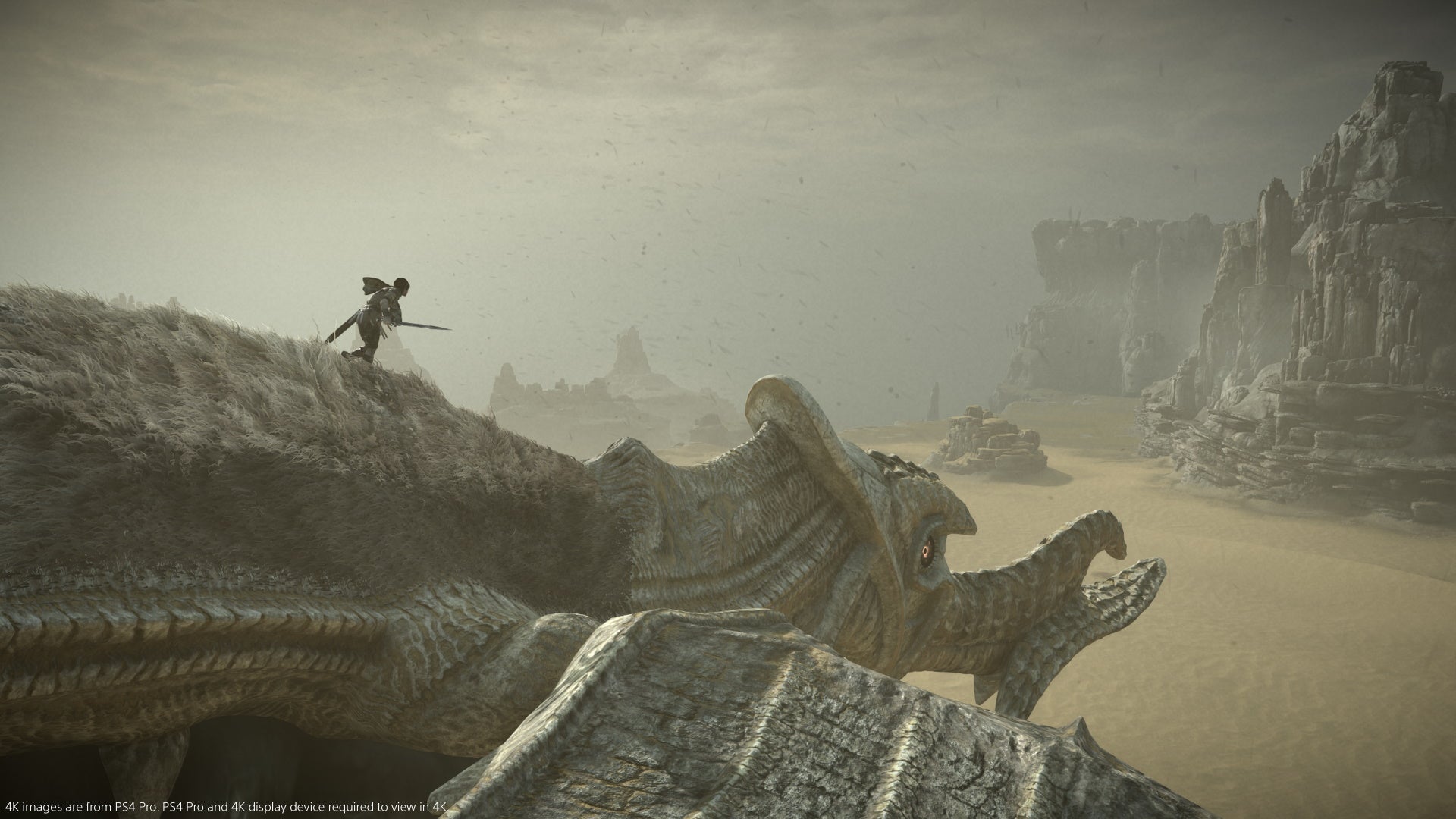 The subordinate runs down a Colossus' cervix successful Shadow Of The Colossus.