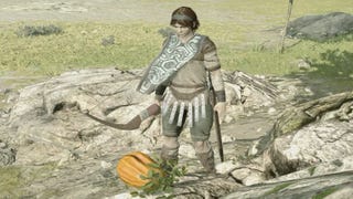 Shadow of the Colossus lizards, fruit trees, health and stamina upgrades explained