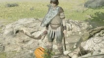 Shadow of the Colossus lizards, fruit trees, health and stamina upgrades explained