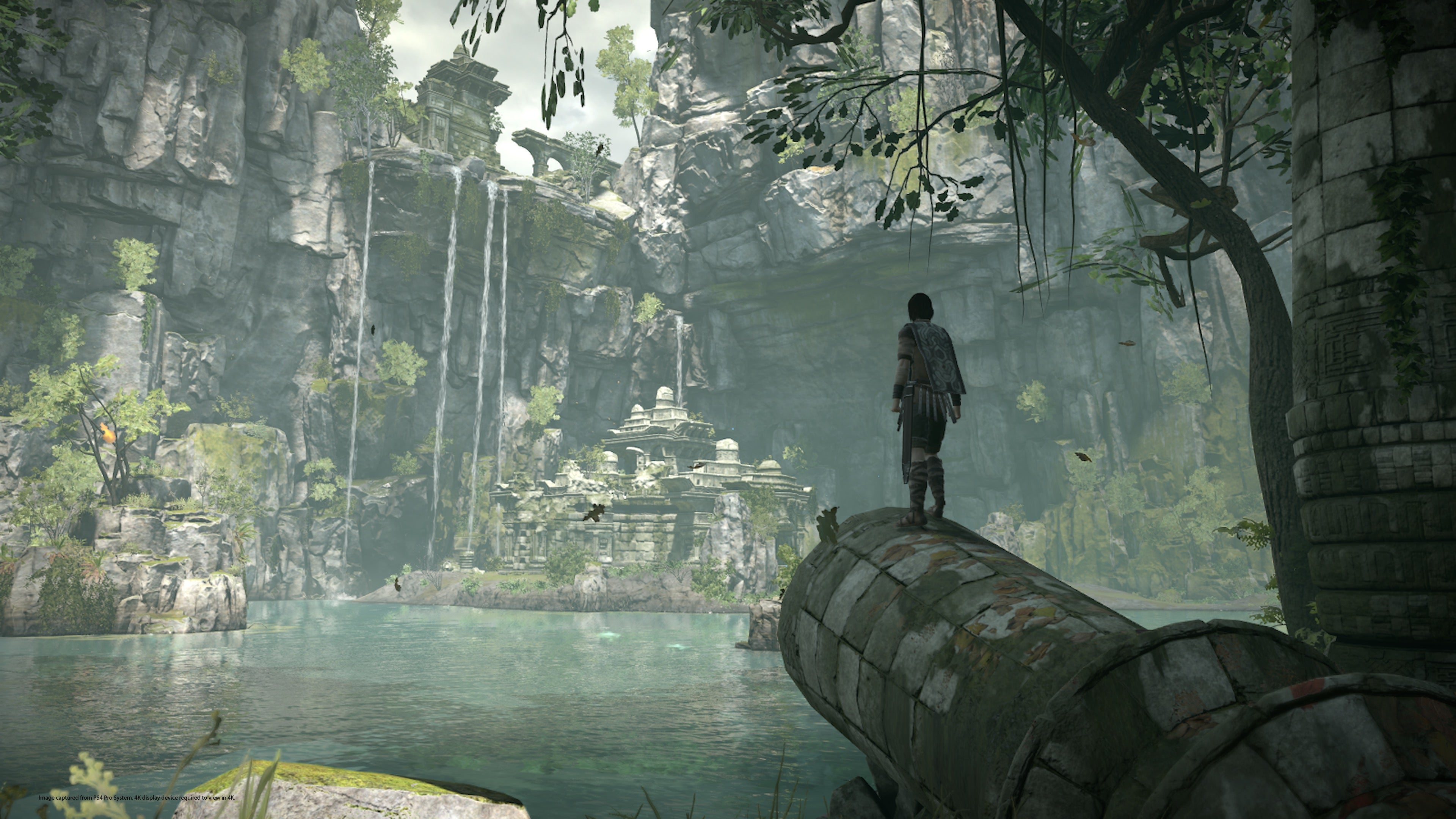 Shadow of the Colossus Digital Foundry