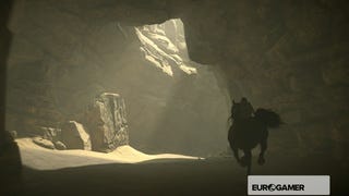 Shadow of the Colossus walkthrough, guide and tips on PS4