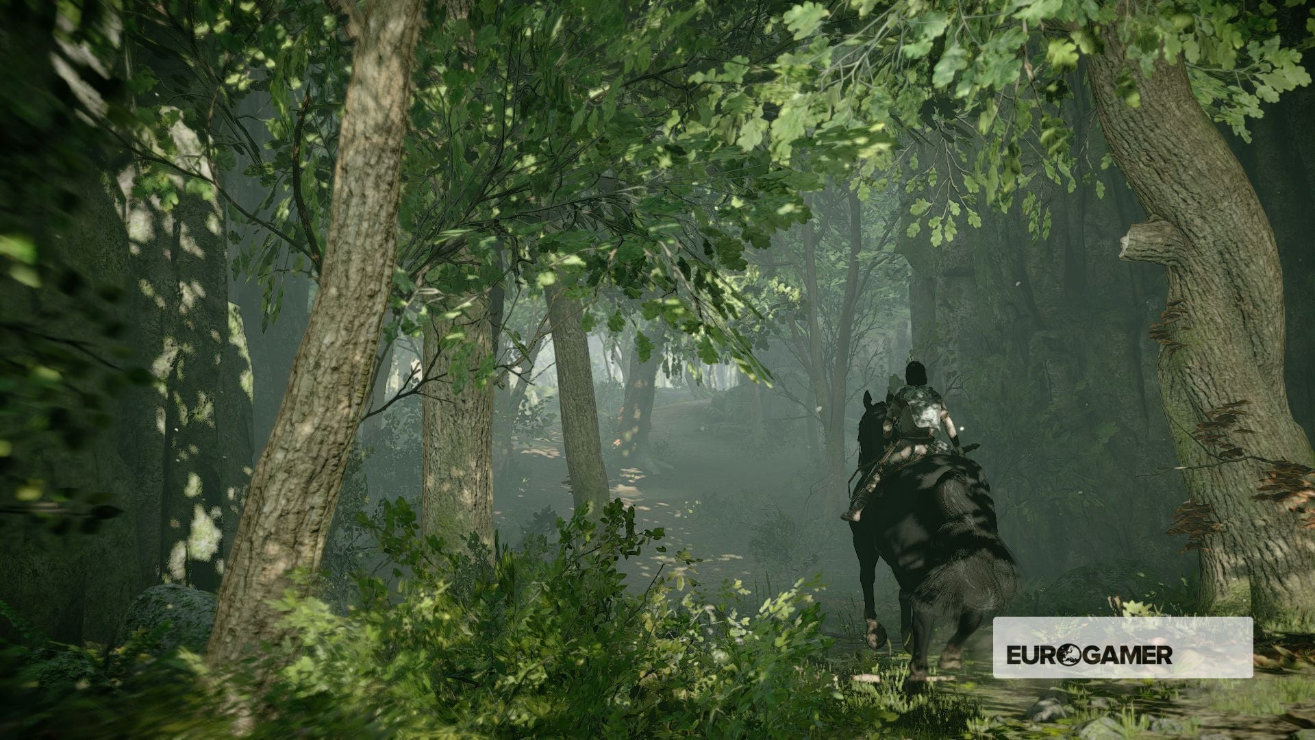 Shadow of the Colossus - Colossus 12 location and how to defeat the ...