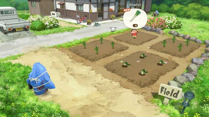 Shin chan harvests some shallots from a little plot outside a traditional family house.