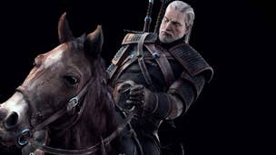 The Witcher 3: Wild Hunt won't release until February 2015