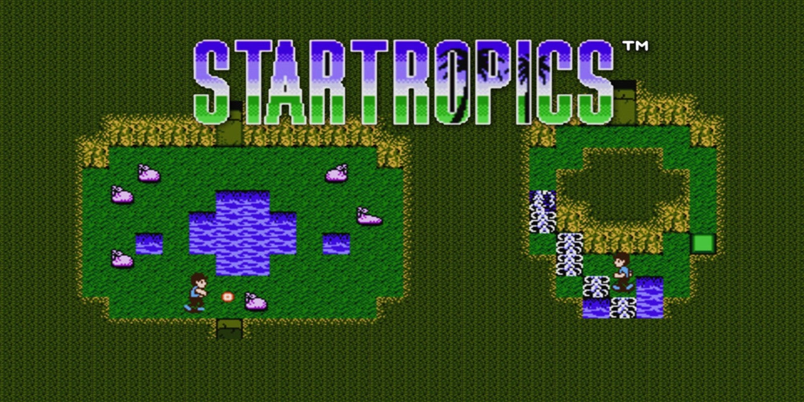 StarTropics artwork