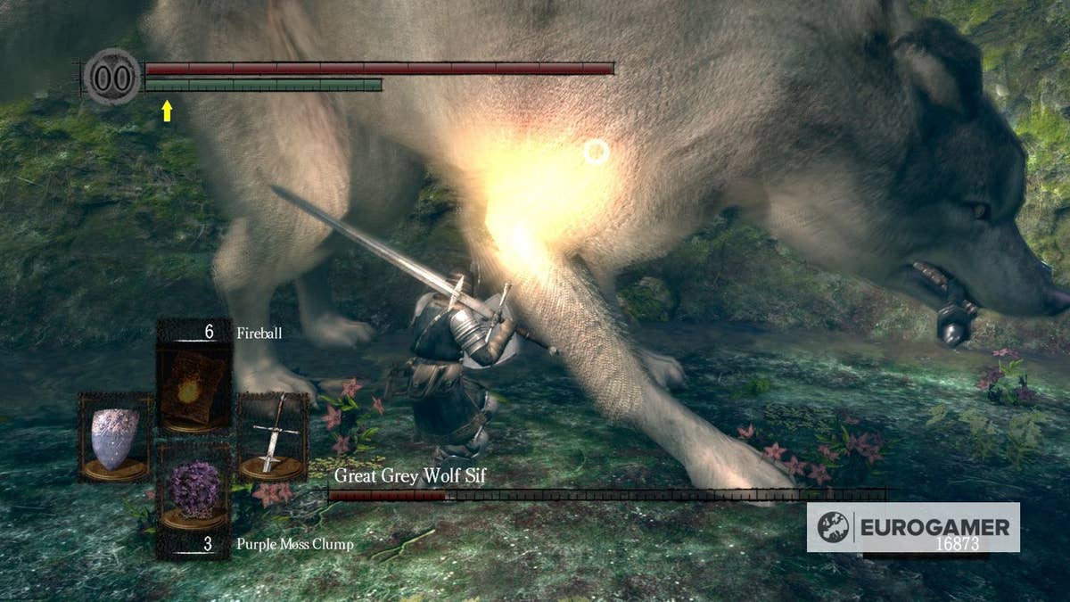 Dark Souls - Great Grey Wolf Sif boss strategy | Eurogamer.net