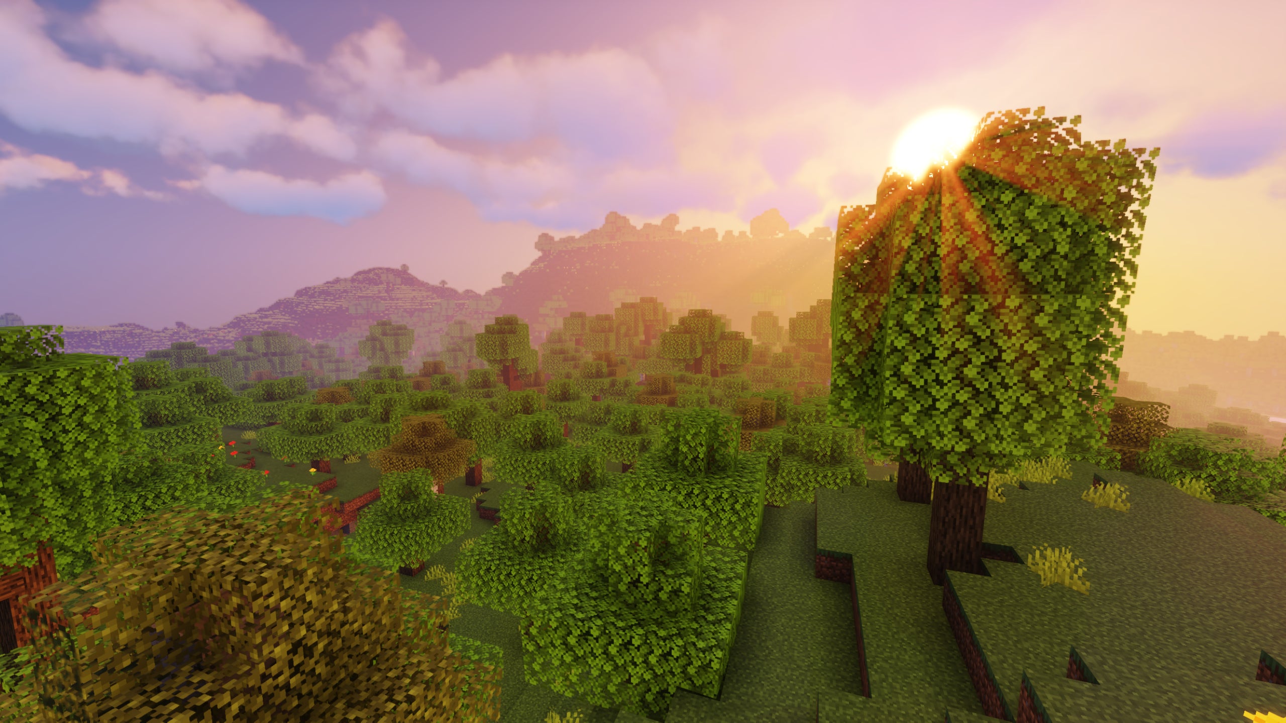 The sun rises over a Minecraft forest with Sildur