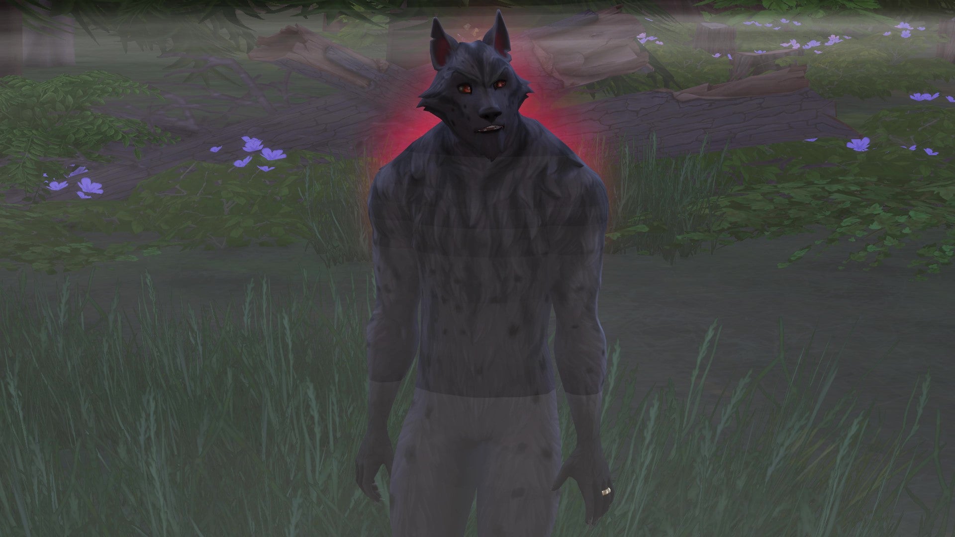 The Sims 4 Werewolves' new NPC Greg, in his werewolf form, with a red aura of anger around him.