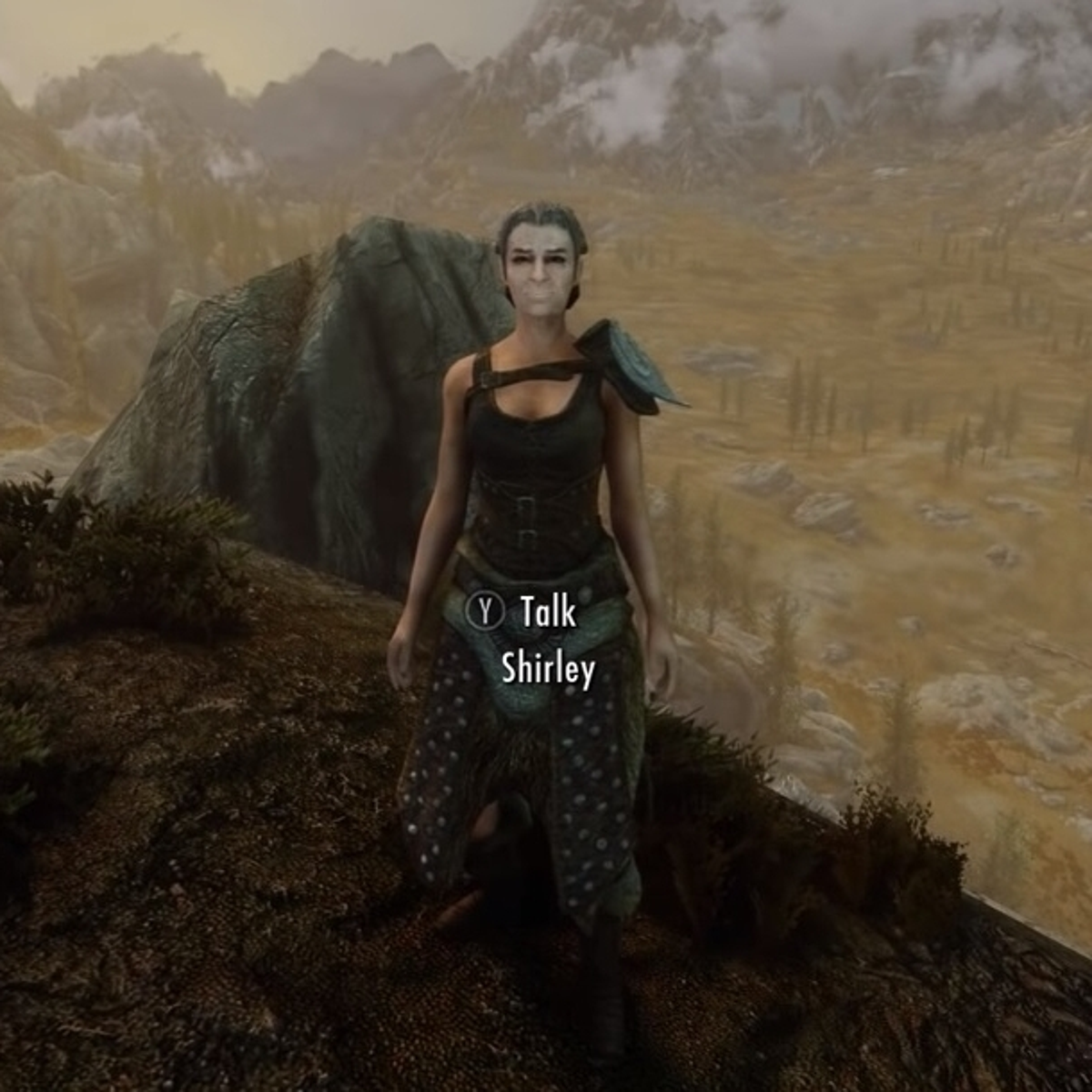 The Skyrim Grandma will be a Skyrim follower mod before she’s an