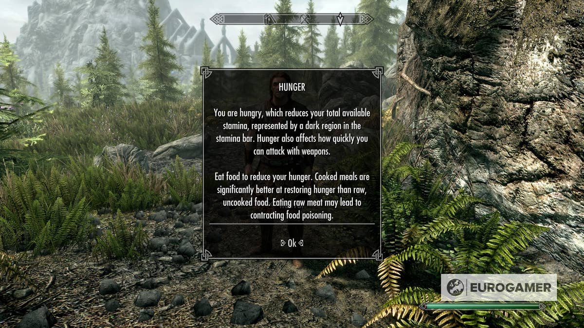 Skyrim survival mode: How to enable survival mode and survival