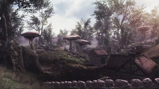 Skywind Continues To Move Morrowind Into Skyrim