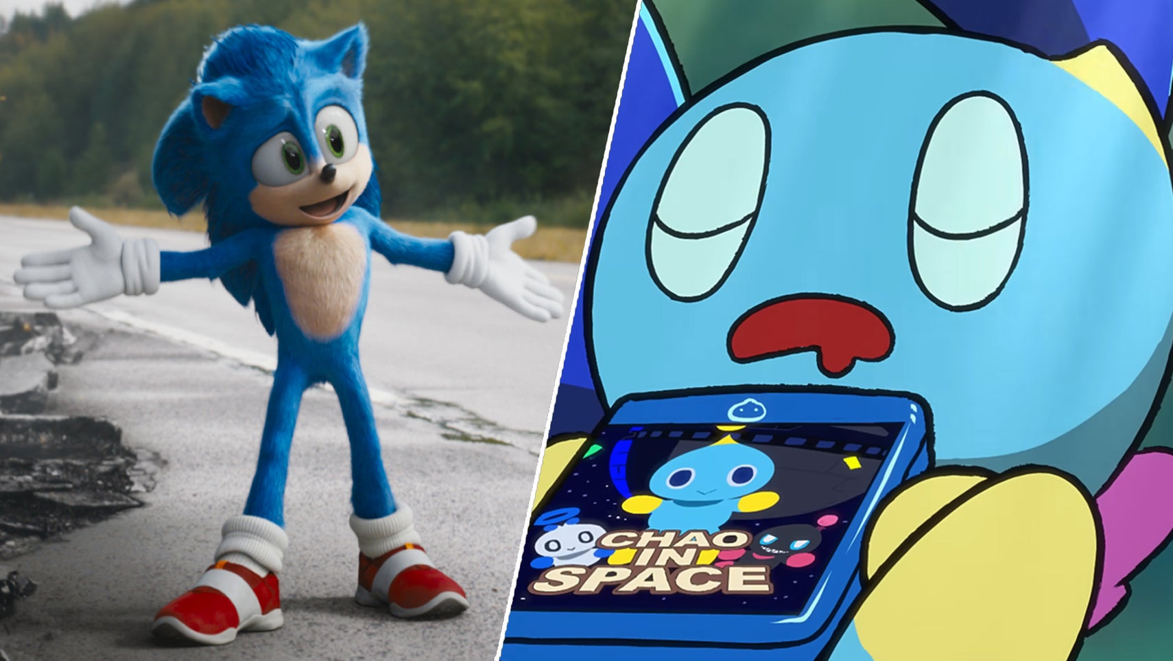 On the left, Sonic from the Sonic the Hedgehog movie with his arms outstretched, smiling confidently. On the right, a sleeping, 2D Chao. - 1