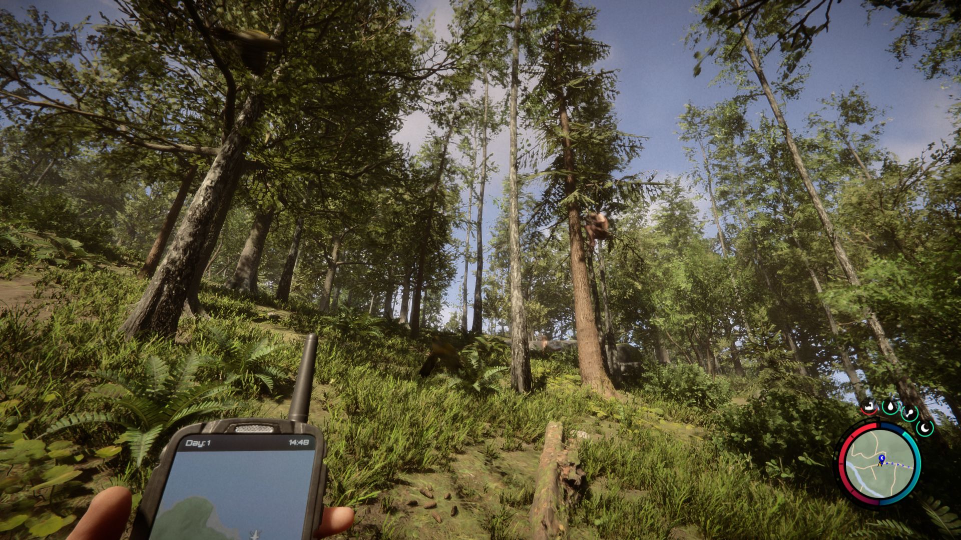 The forest in Sons Of The Forest, with a mutant hanging out in a tree looking at the player - 13