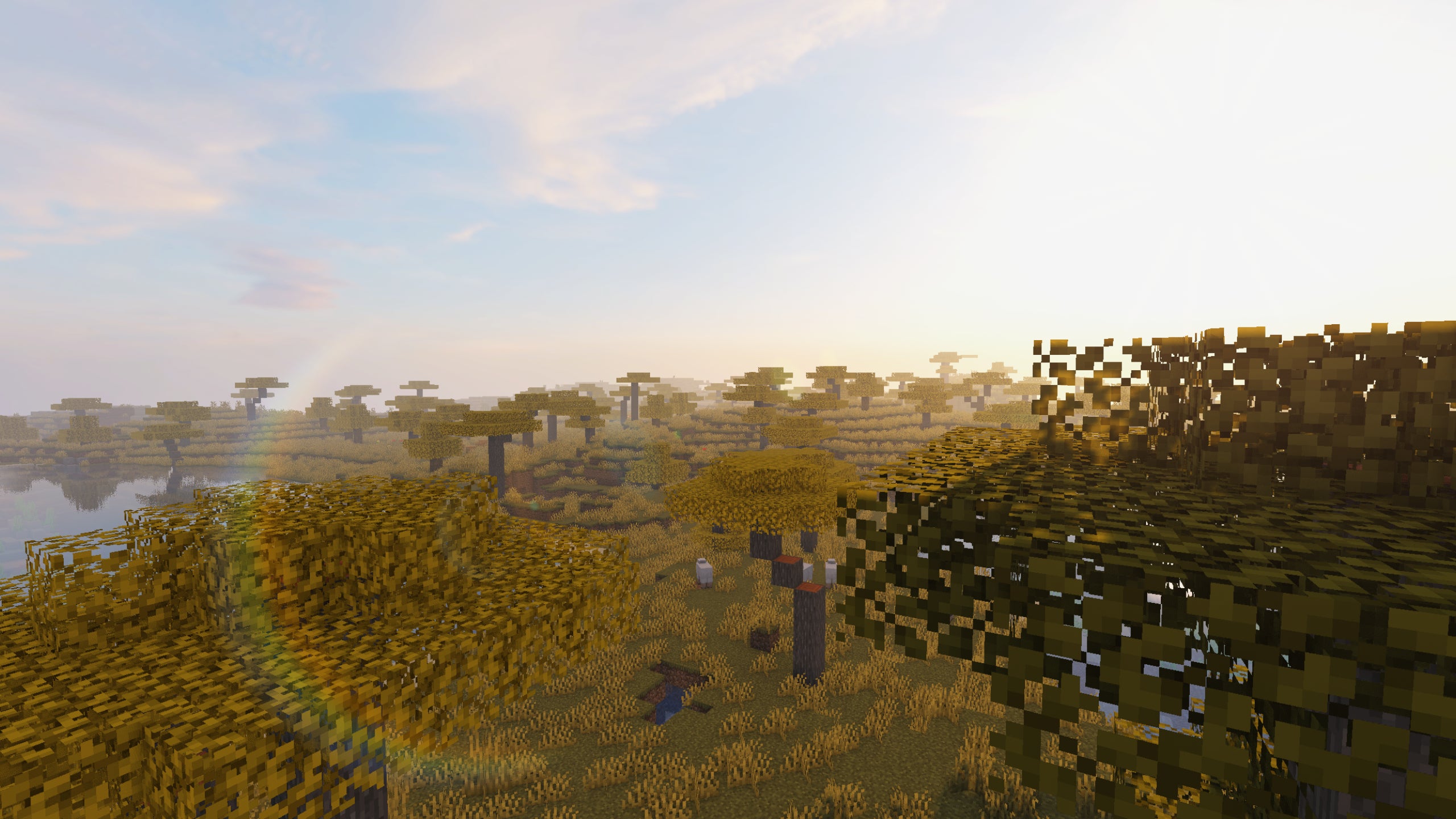 A Minecraft savanna biome landscape with Sora Shaders installed.