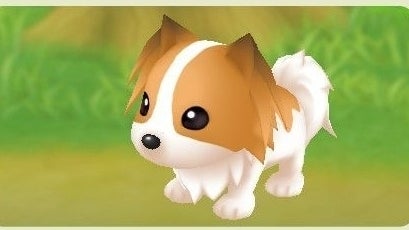 Story of Seasons Pets Where to buy pets Friendship Level and